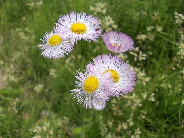 120524002.jpg