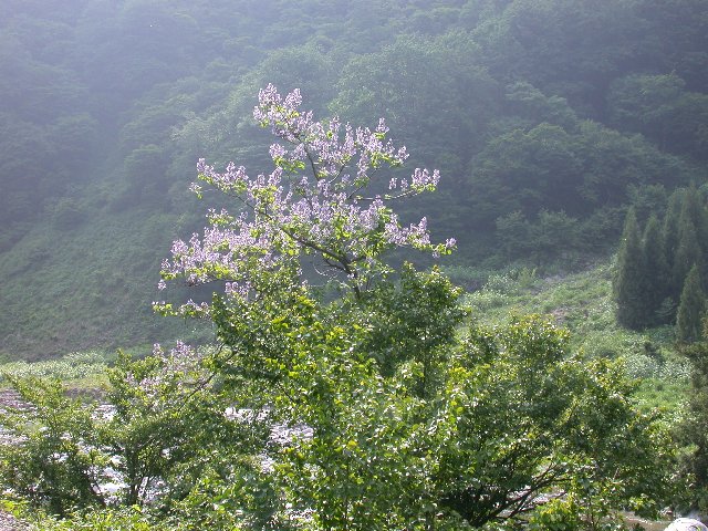 0607010.jpg