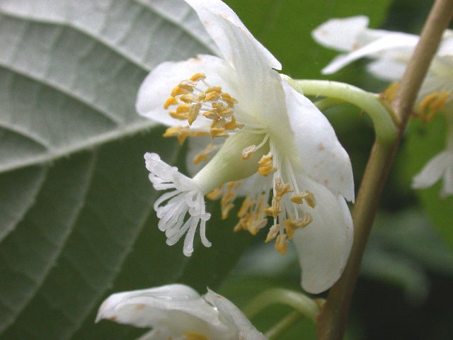 0621040.jpg