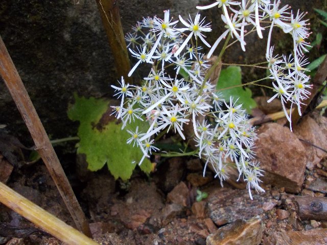 121007004.jpg