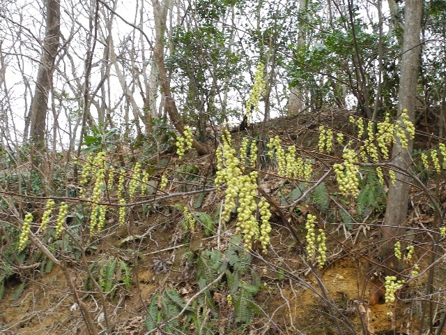 130319c.jpg