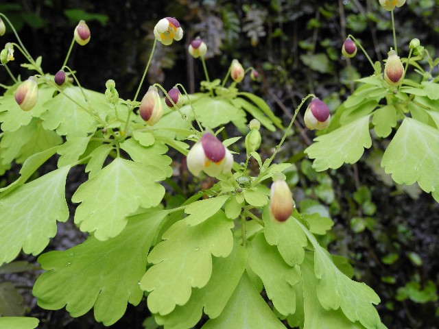 130411a.jpg
