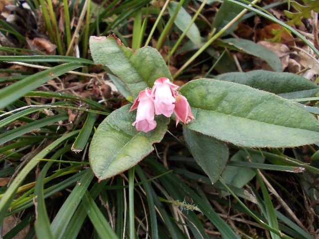 130411b.jpg