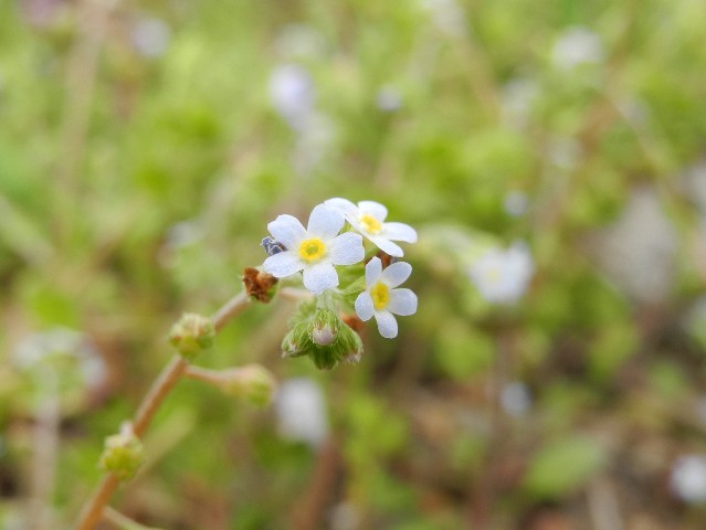 130418b.jpg