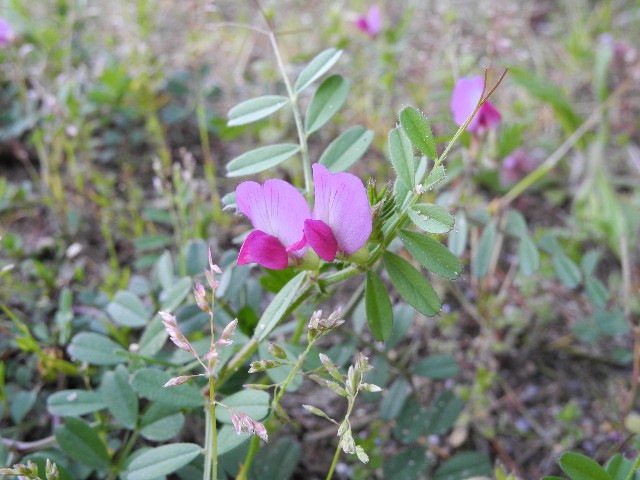 130425a.jpg