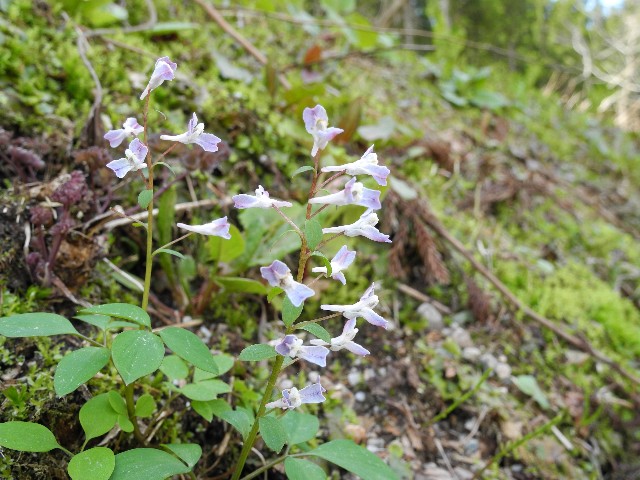 130428b.jpg