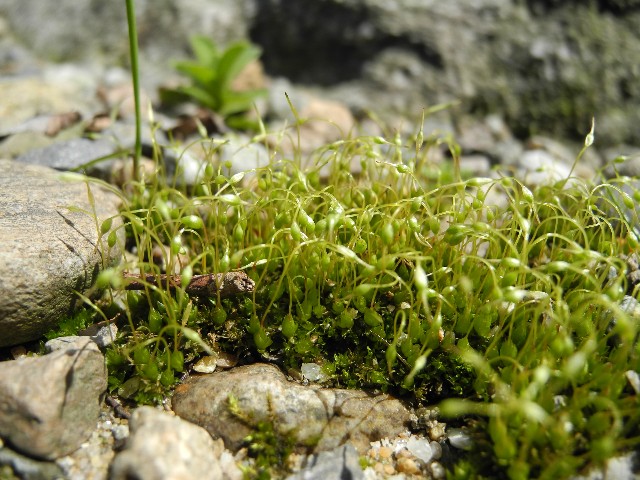 130428d.jpg
