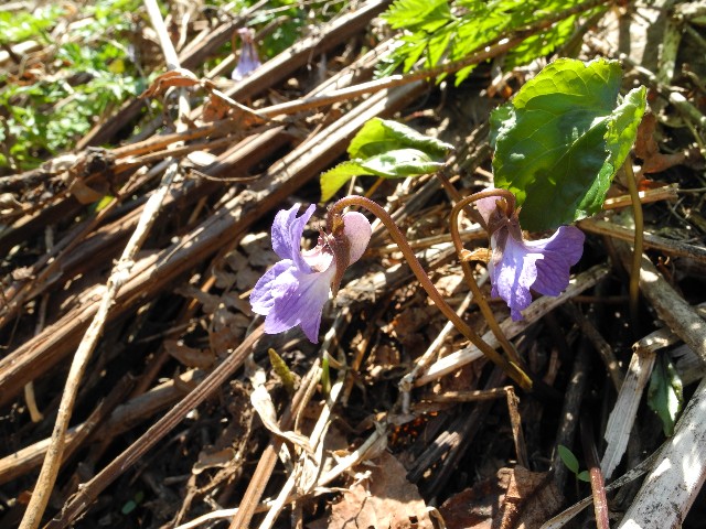 130428e.jpg