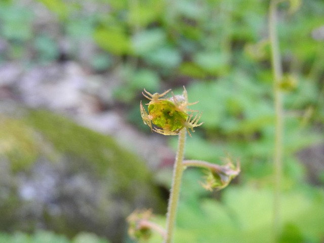 130428i.jpg