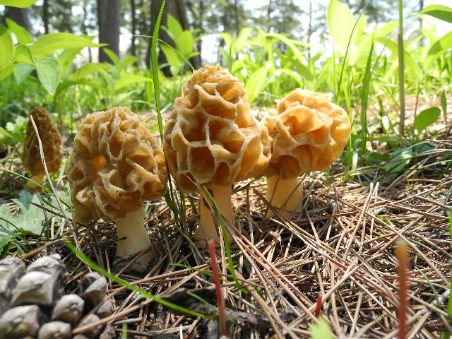 130429a.jpg