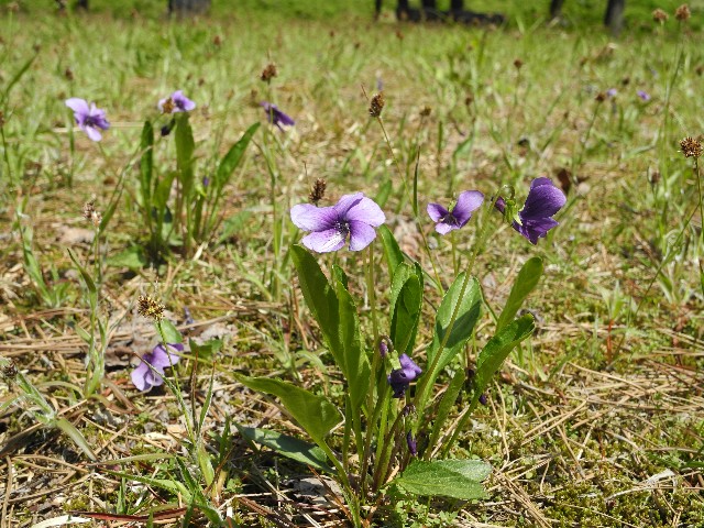 130429b.jpg