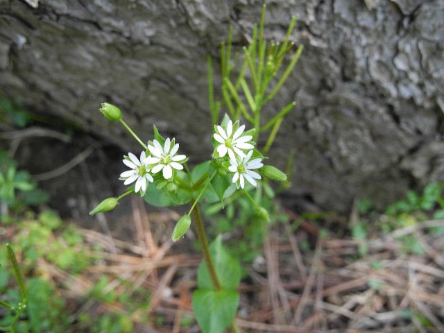 130429c.jpg