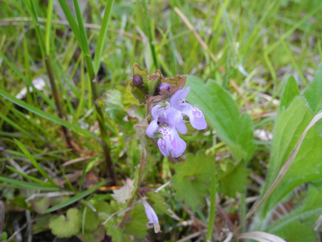 130429d.jpg