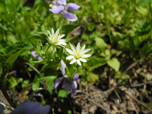 130429h.jpg