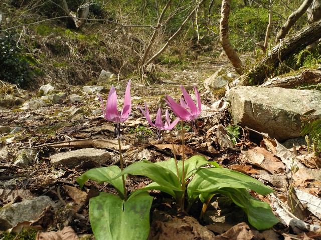 0503040.jpg