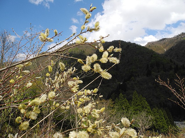 0503060.jpg