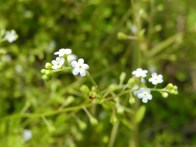 0519020.jpg