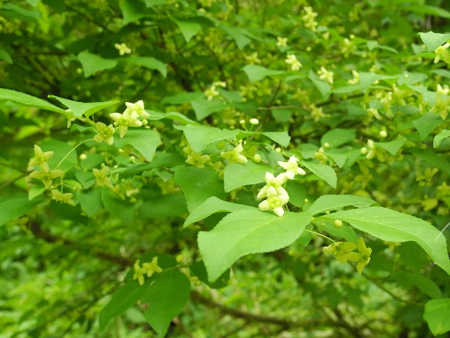 0526070.jpg