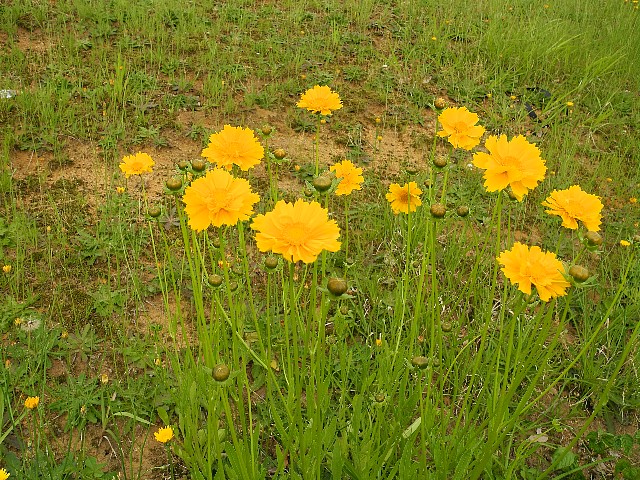 130606140.jpg