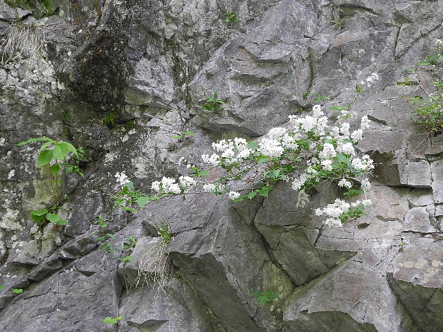 130609150.jpg