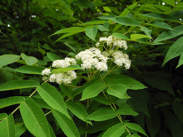 130609180.jpg