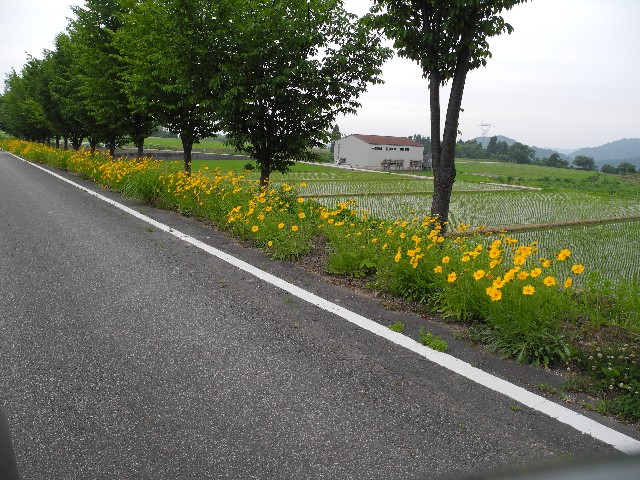 130609280.jpg