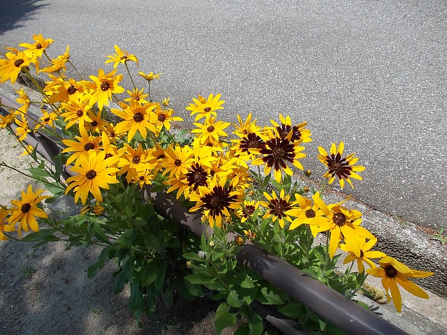 130627010.jpg