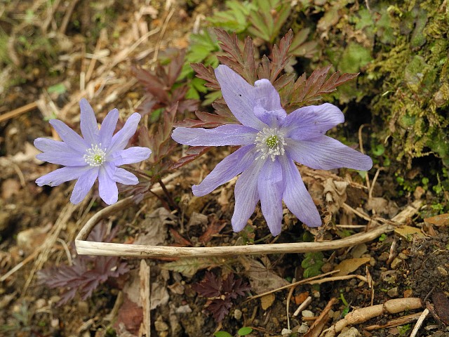 140403040.jpg
