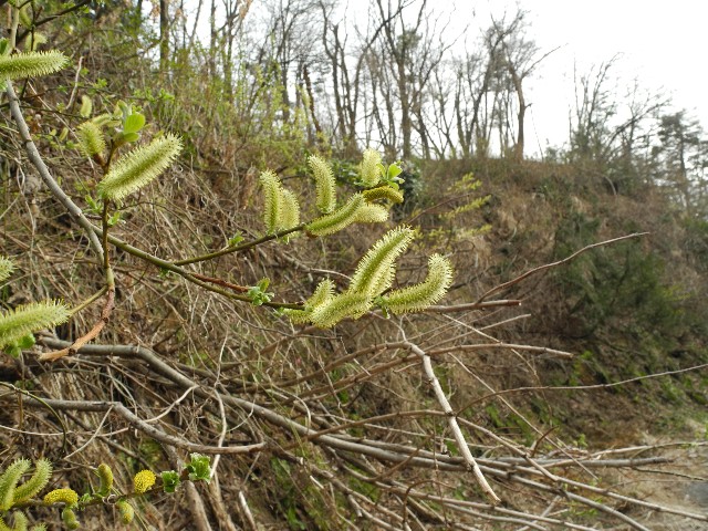 140403080.jpg