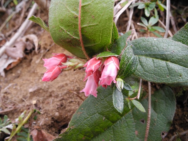 140403160.jpg