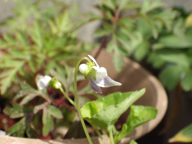 140420020.jpg