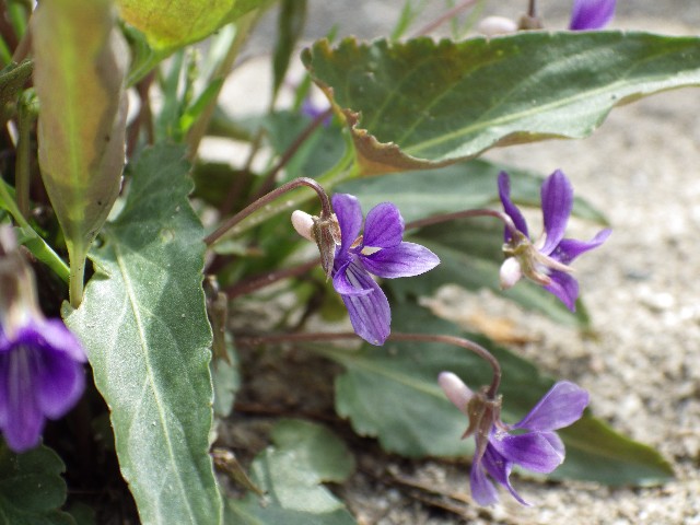 140420030.jpg