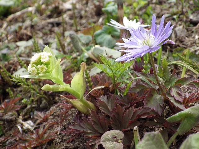 140420050.jpg