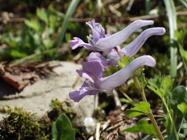 140420070.jpg