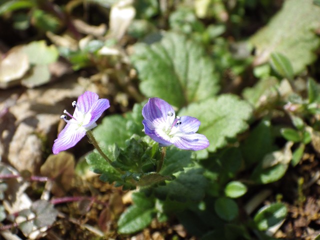 140420090.jpg