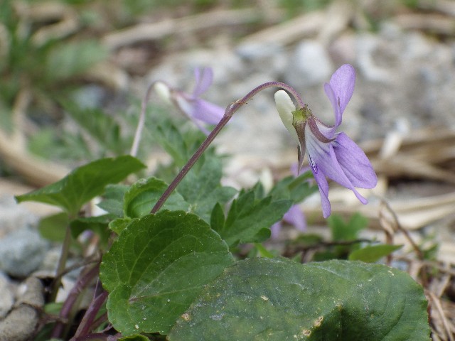 140420100.jpg