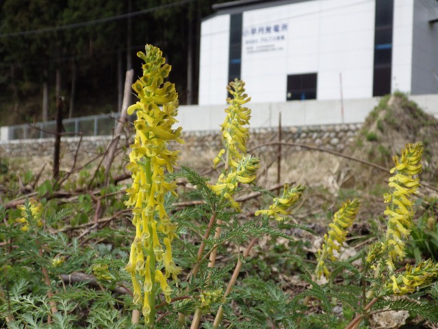 140420210.jpg