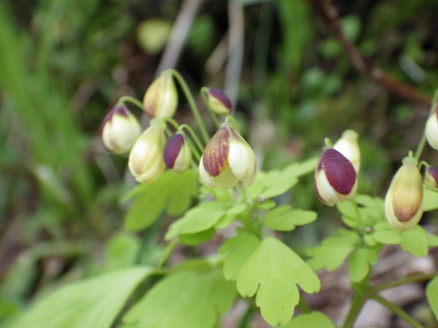 140420220.jpg