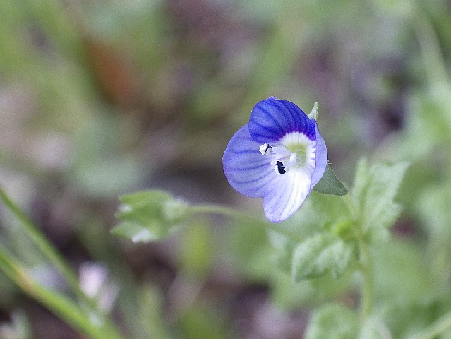 140429080.jpg