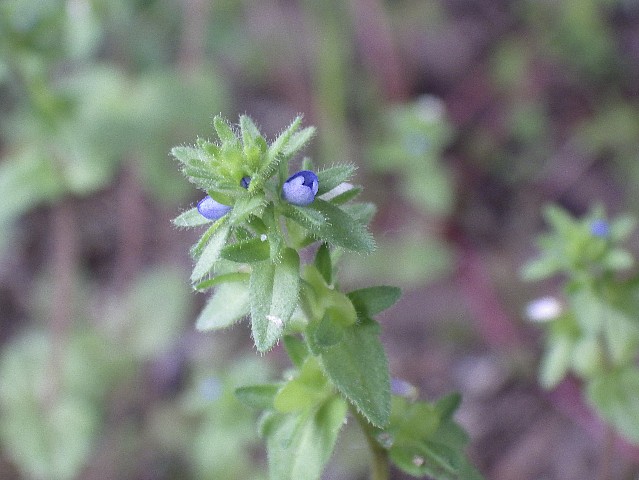 140429090.jpg