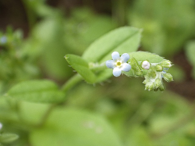 140429110.jpg
