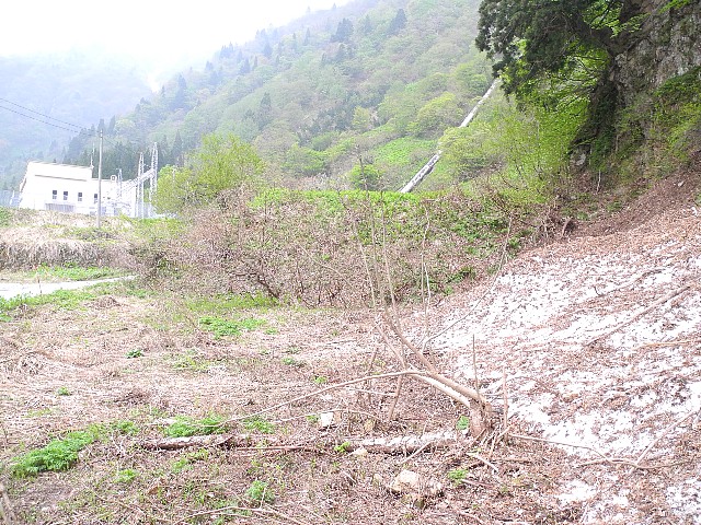140503010.jpg