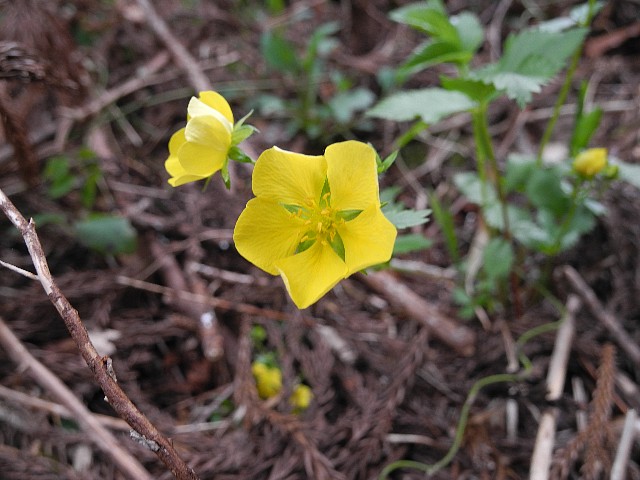 140503050.jpg