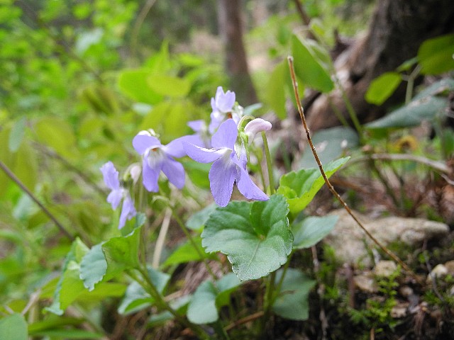 140503060.jpg