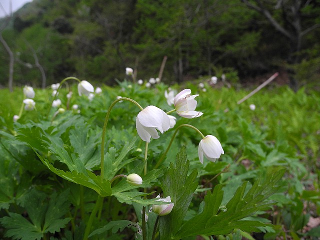 140503090.jpg