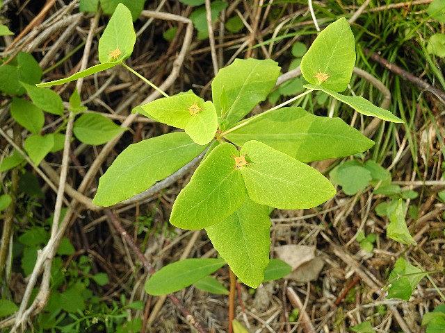 140503290.jpg