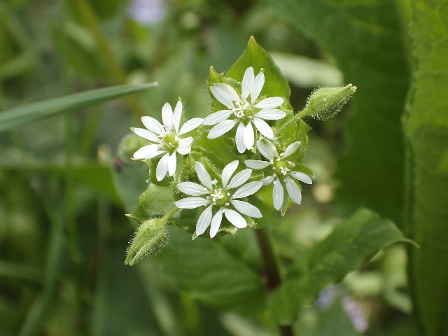 140504190.jpg