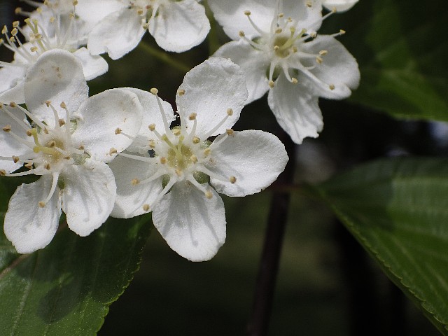 140504250.jpg