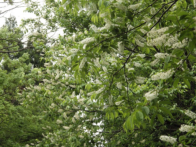 140504320.jpg