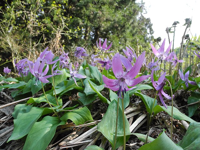 140506010.jpg